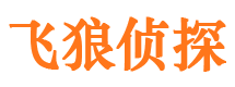 屏南市侦探公司